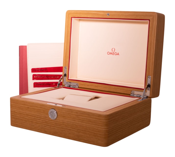 Omega Seamaster Diver 300m 210.92.44.20.01.001 Image 5